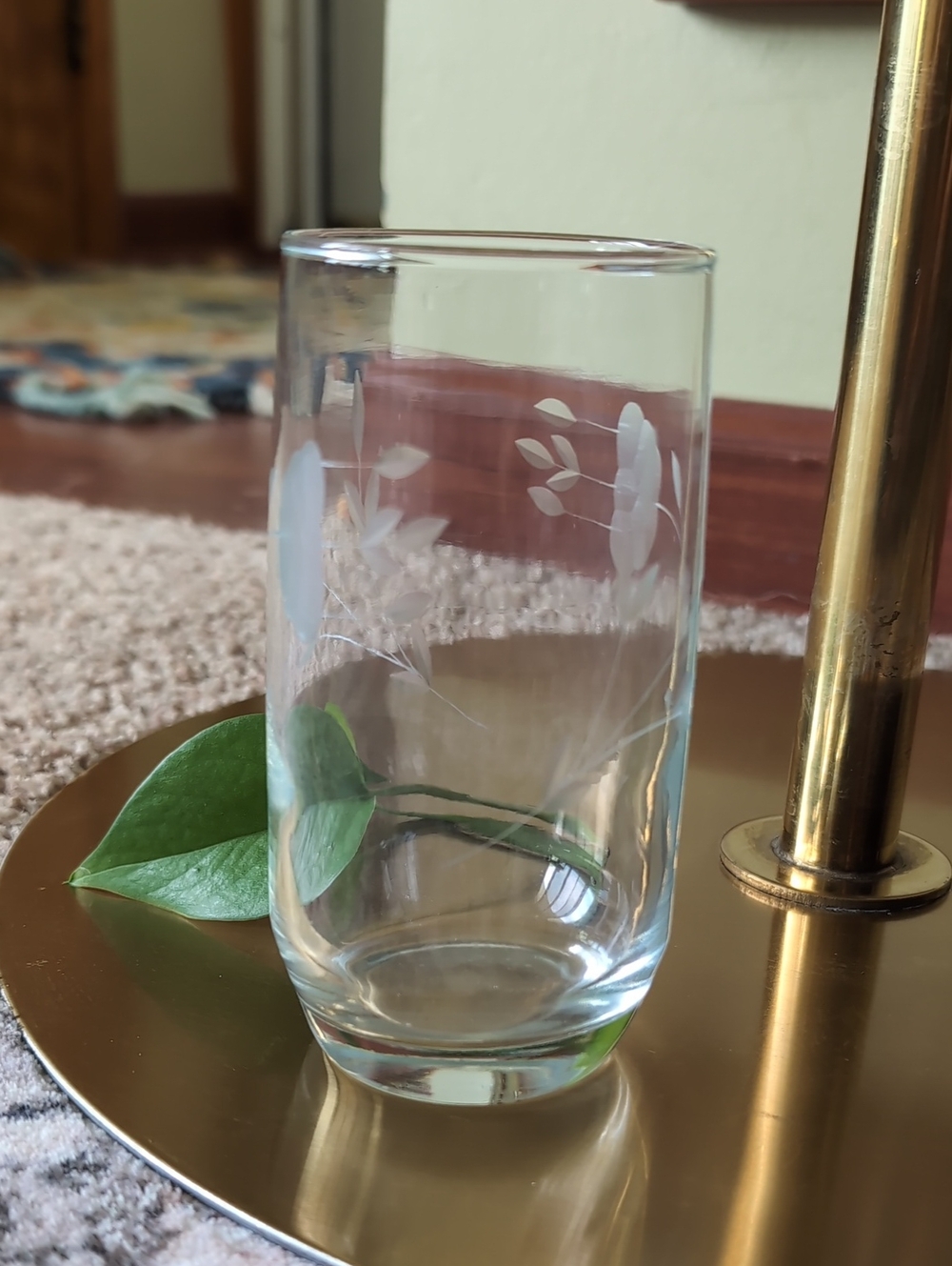 Princess House Heritage Clear Crystal Beverage Glass with White Leaf Etching